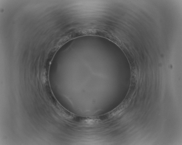 X0000076380323200610271534