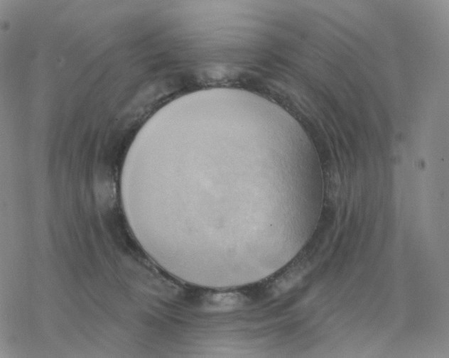 X0000076380324200610271534