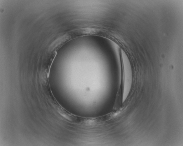 X0000076380325200610271534