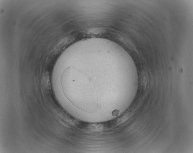 X0000076380328200610271534