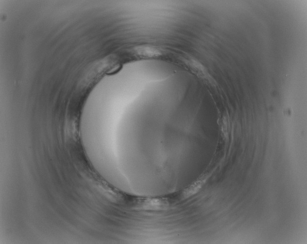 X0000076380330200610271534