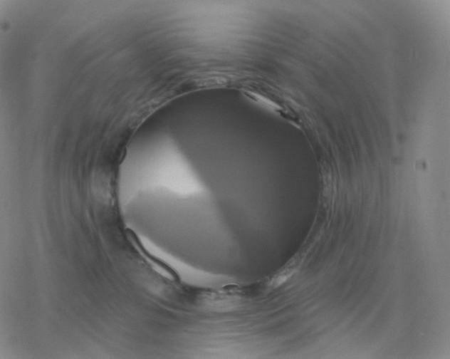 X0000076380331200610271534