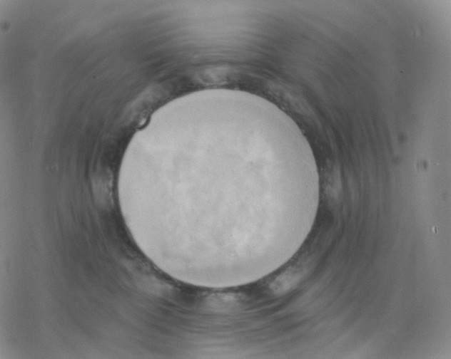 X0000076380332200610271534