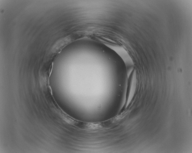 X0000076380333200610271534