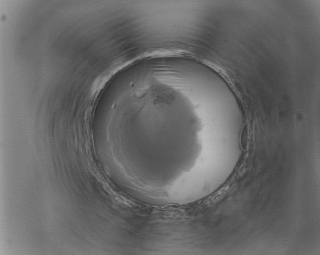 X0000076380337200610271533