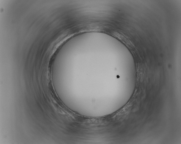 X0000076380338200610271533