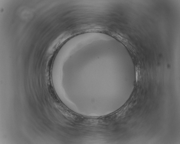 X0000076380339200610271533