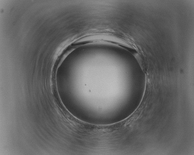 X0000076380340200610271533