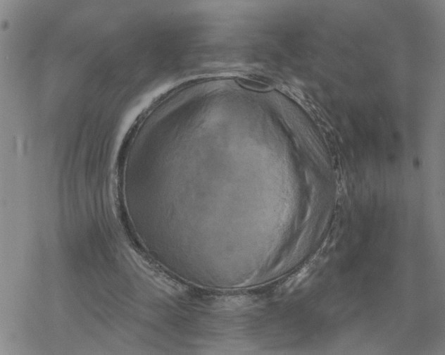 X0000076380342200610271533