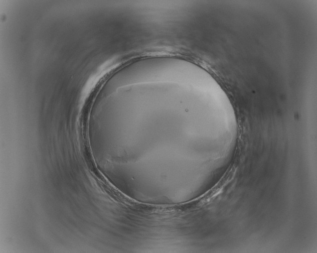 X0000076380343200610271533