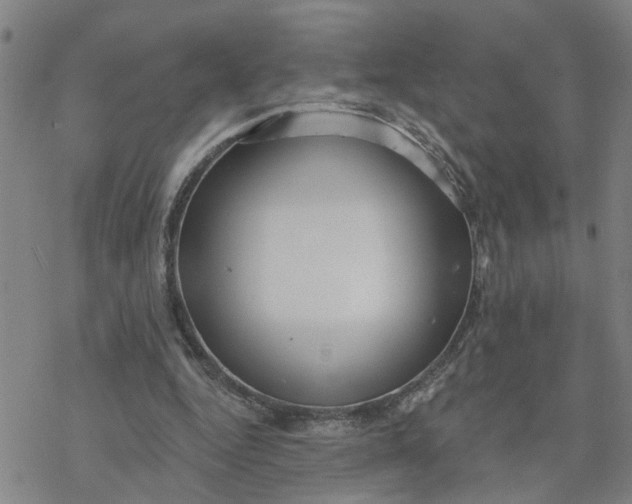 X0000076380344200610271533