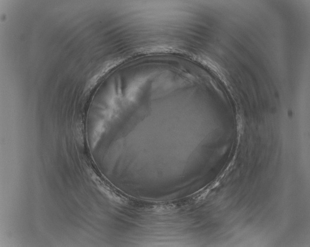 X0000076380345200610271533