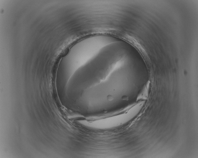 X0000076380346200610271533