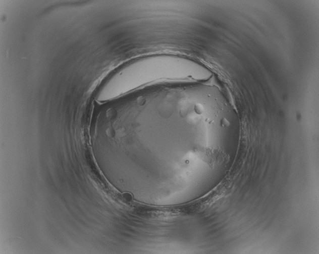 X0000076380347200610271533