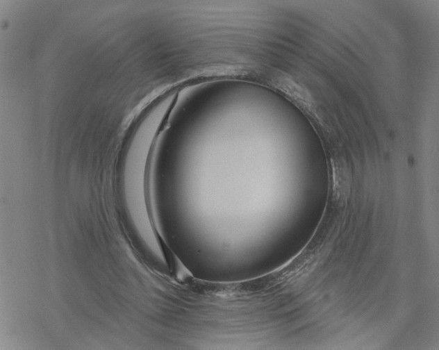 X0000076380348200610271533