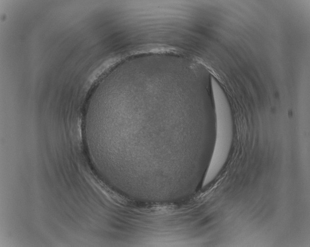 X0000076380350200610271533