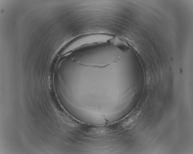 X0000076380351200610271533