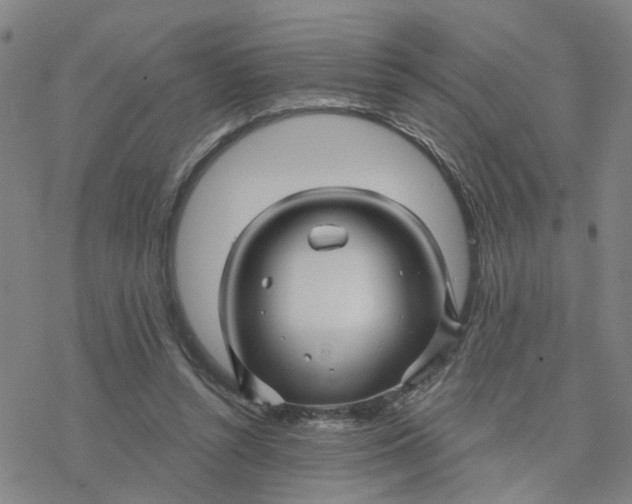 X0000076380352200610271533