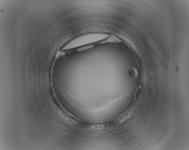 X0000076380353200610271534