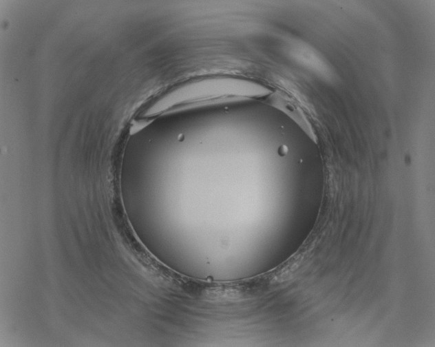 X0000076380354200610271534