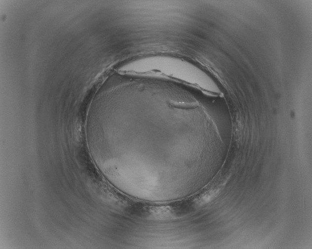 X0000076380355200610271534