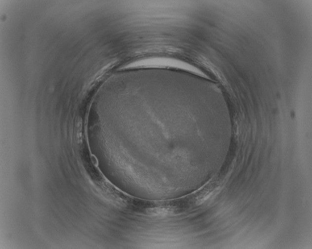 X0000076380356200610271534