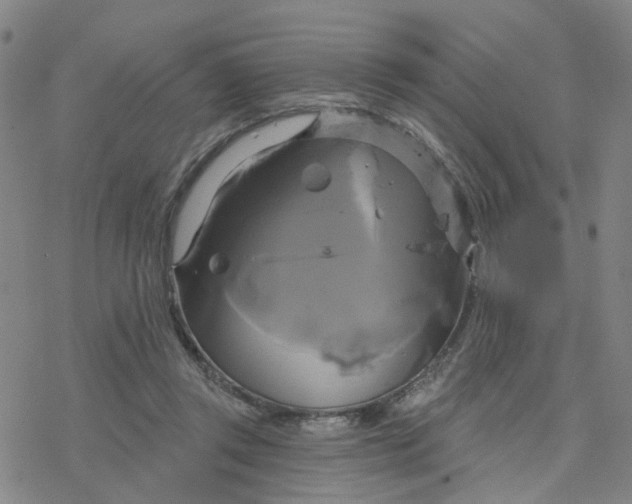 X0000076380357200610271534