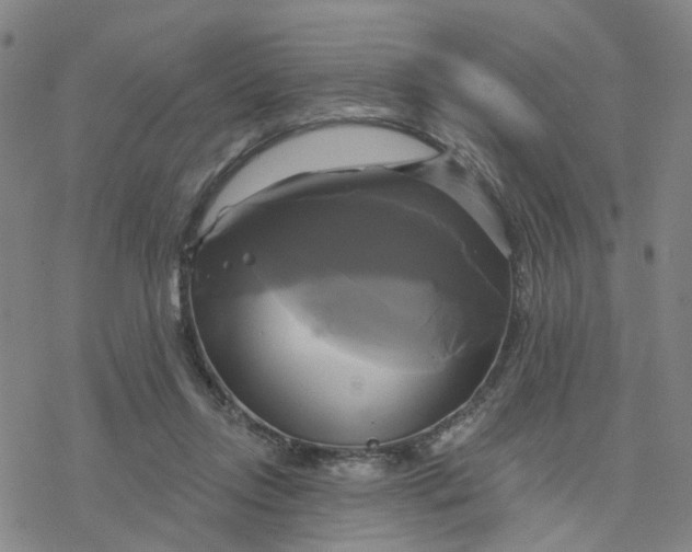 X0000076380358200610271534