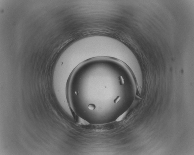 X0000076380360200610271534