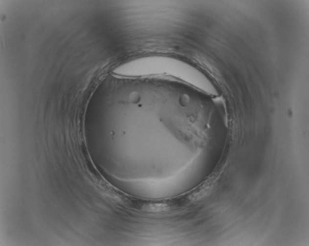 X0000076380361200610271534