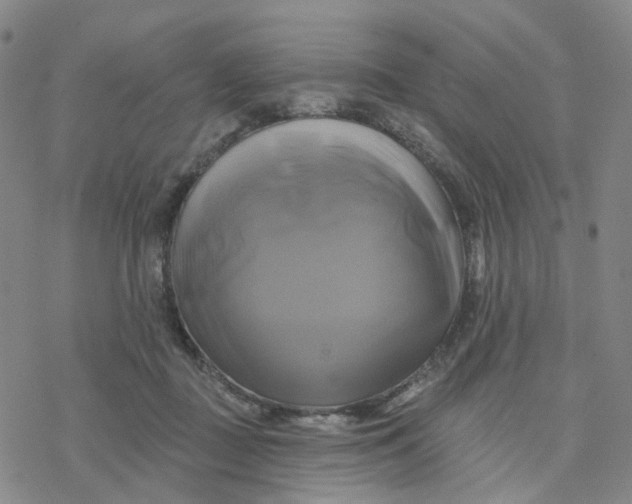 X0000076380363200610271534