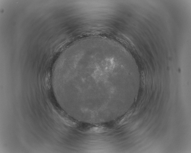 X0000076380364200610271534