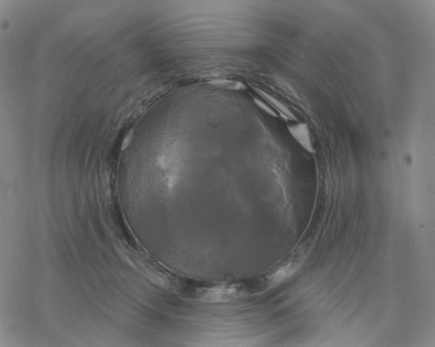 X0000076380366200610271534