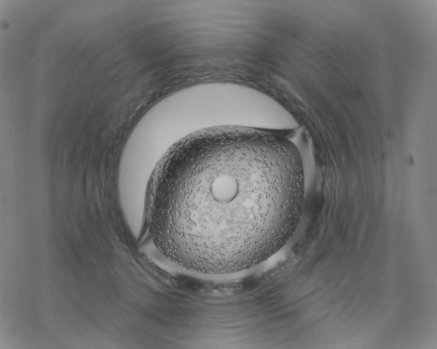 X0000076380368200610271534