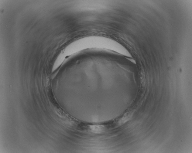 X0000076380371200610271534