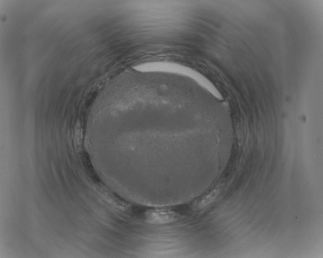 X0000076380372200610271534