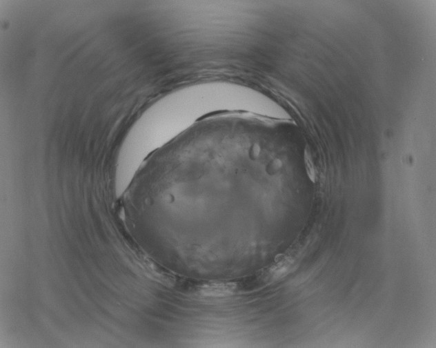 X0000076380373200610271534