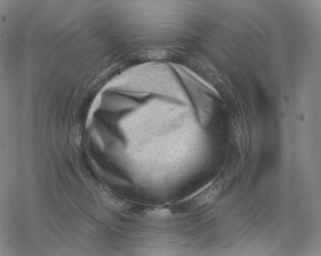 X0000076380374200610271534