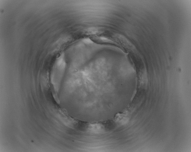 X0000076380376200610271534