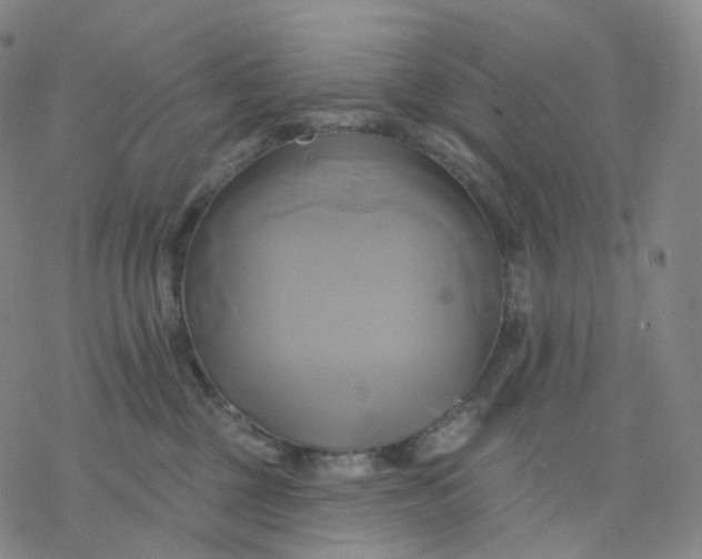 X0000076380377200610271534