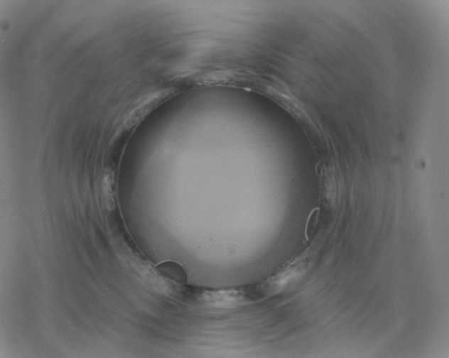 X0000076380378200610271534