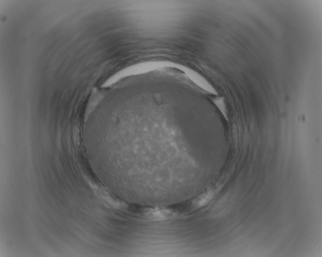 X0000076380379200610271534