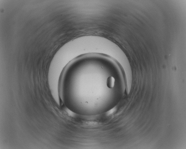 X0000076380380200610271534