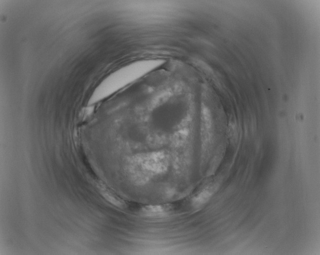 X0000076380381200610271534