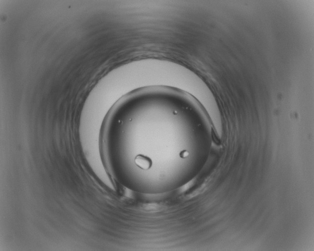 X0000076380382200610271534