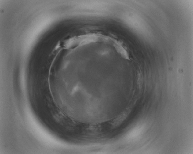 X0000076380383200610271534