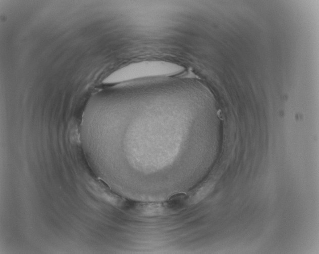 X0000076380384200610271534