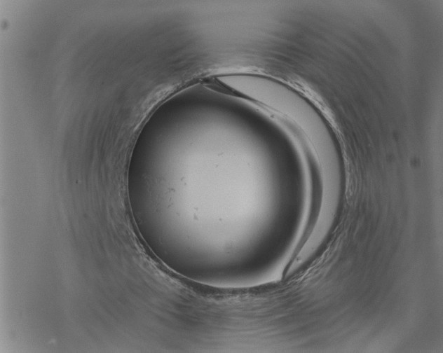 X0000076380385200610271533