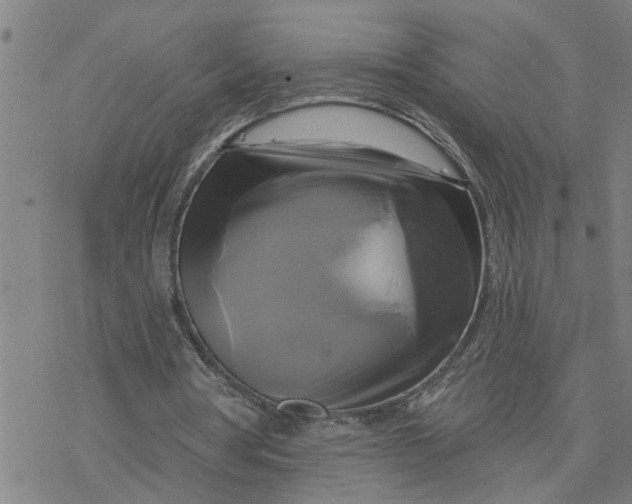 X0000076380386200610271533