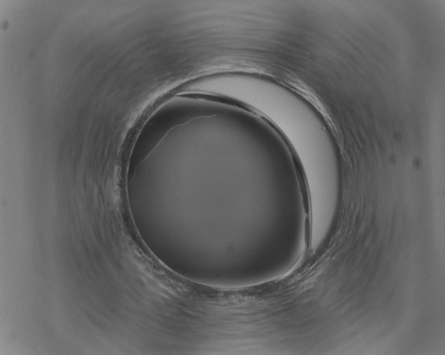 X0000076380387200610271533